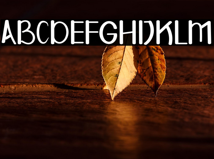 HAPPY WOLDY Example 2