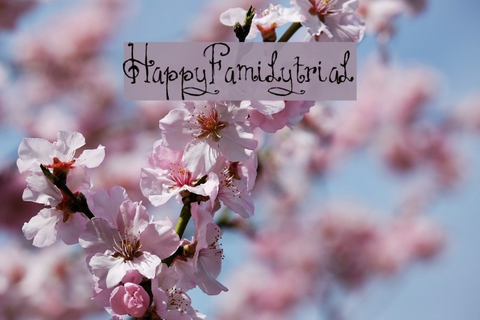 HAPPYFAMILY-TRIAL Font examples