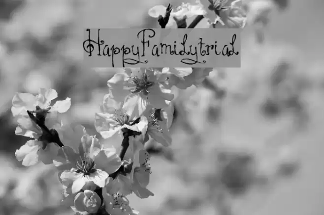 HAPPYFAMILY-TRIAL Font examples