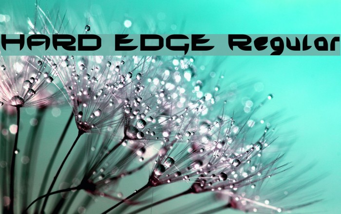 HARD EDGE Regular Font examples