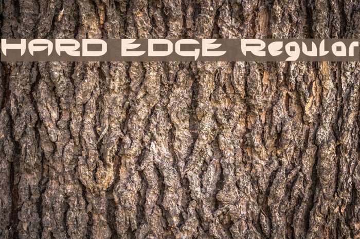 HARD EDGE Regular Font examples