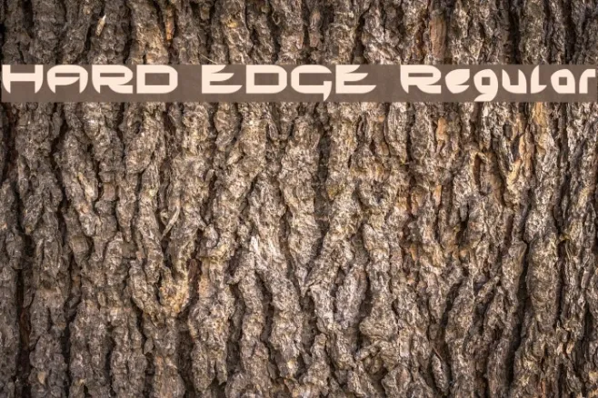 HARD EDGE Regular Example 3
