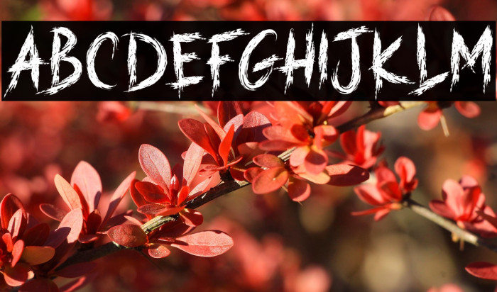 HARD STREET Example 1