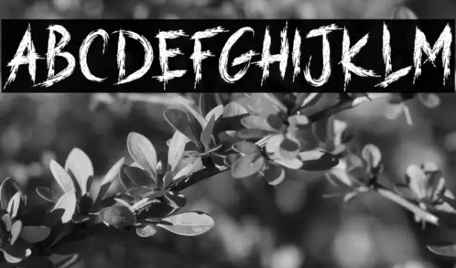 HARD STREET Font examples