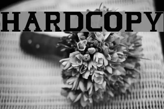 HARDCOPY Font examples