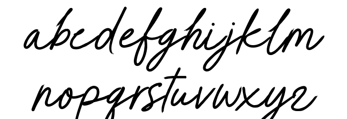 HARDCOVERScript Font LOWERCASE