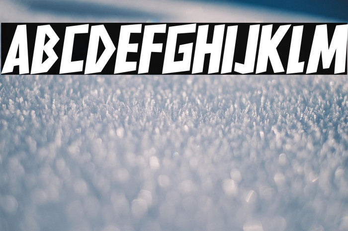 HARDLINERS Example 1