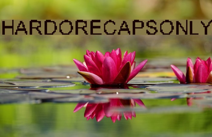 HARDORECAPSONLY Font examples