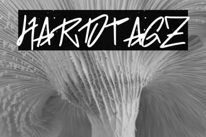 HARDTAGZ Font examples