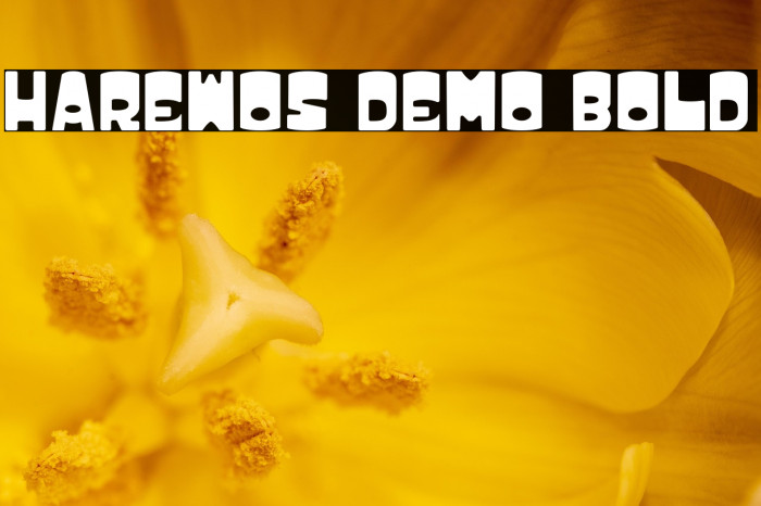 HAREWOS DEMO BOLD Example 1