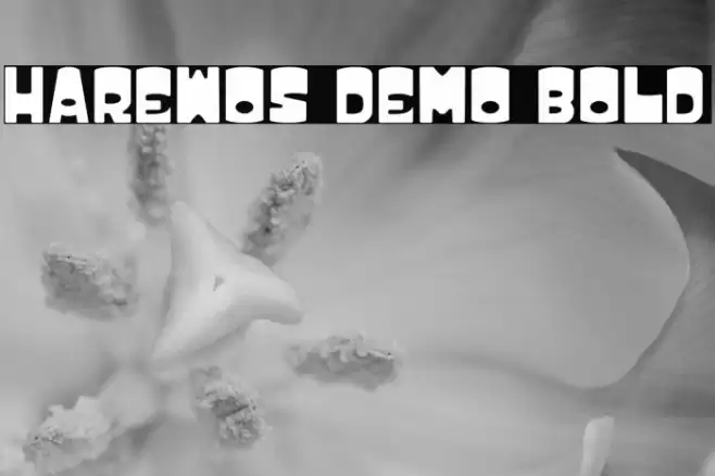 HAREWOS DEMO BOLD फ़ॉन्ट examples
