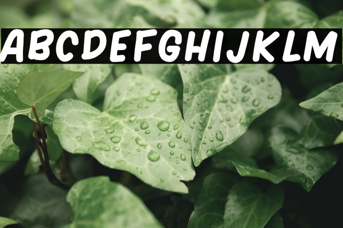 HARGENA Font examples