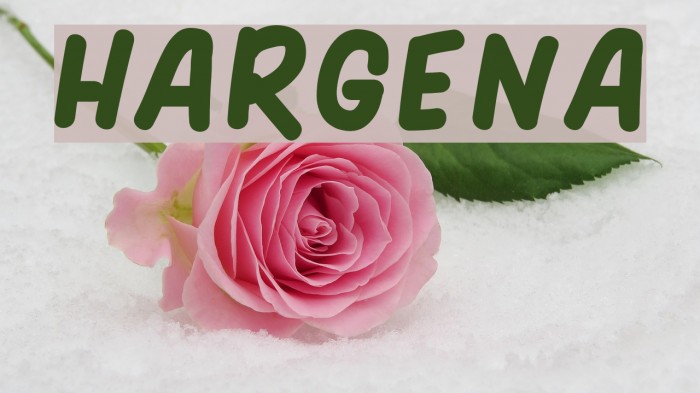 HARGENA Fuentes examples