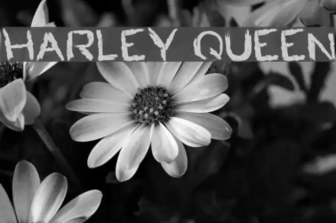 HARLEY QUEEN Font examples