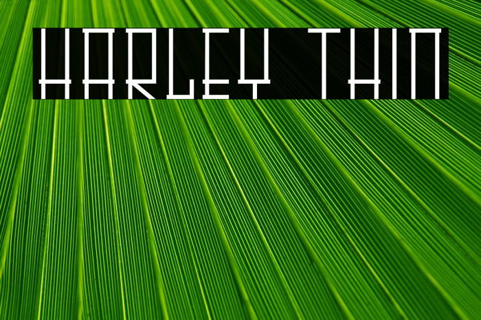 HARLEY Thin Example 1