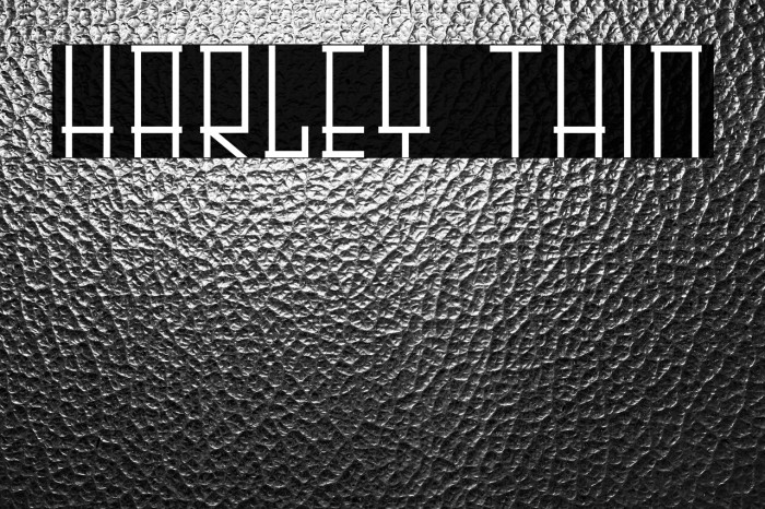 HARLEY Thin Example 2