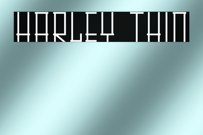 HARLEY Thin Example 3