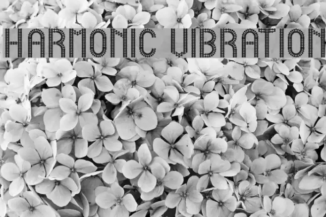 HARMONIC VIBRATION Font examples