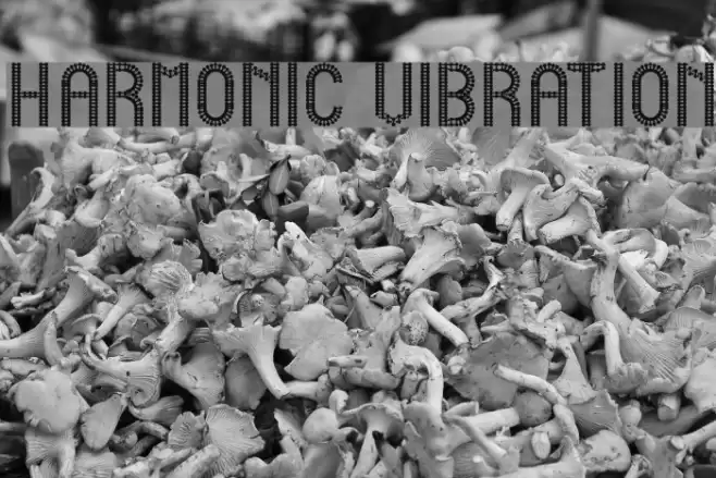 HARMONIC VIBRATION Font examples