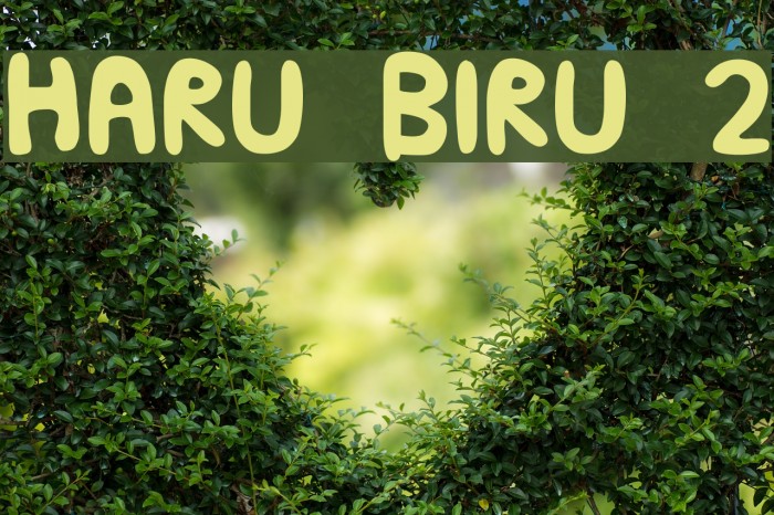 HARU BIRU 2 Example 3