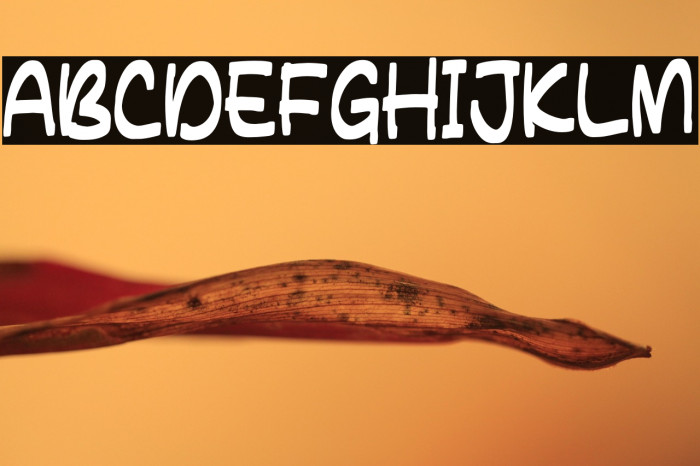 HARVEST COWBOY Example 2