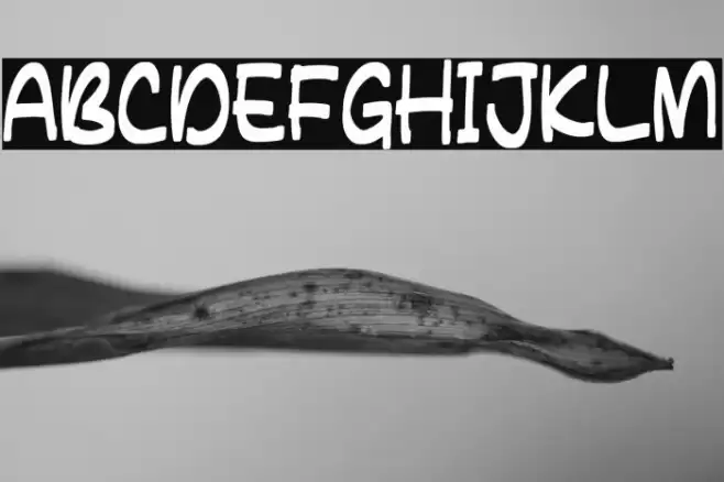 HARVEST COWBOY Font examples