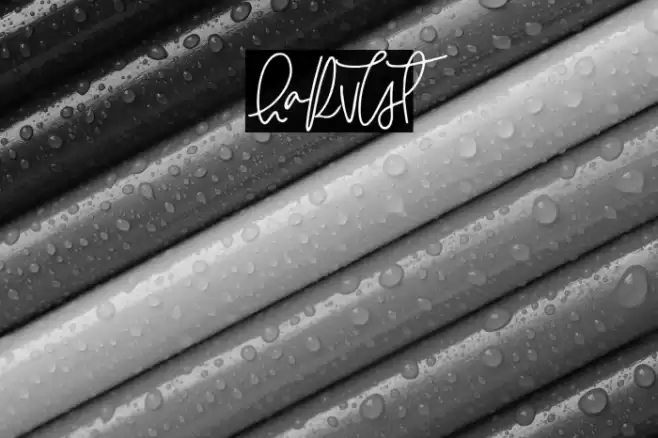 HARVEST Font examples