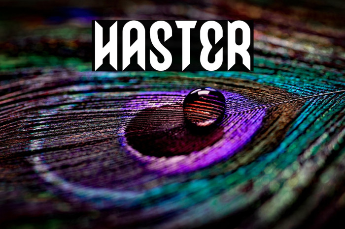 HASTER Example 3