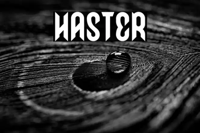 HASTER Font examples