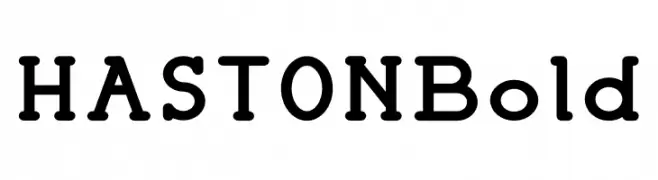 HASTON Bold  Frei Schriftart Herunterladen