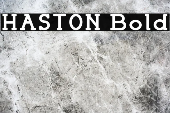 HASTON Bold Example 1