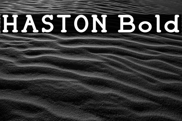 HASTON Bold Font examples
