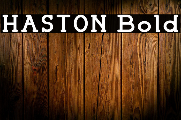 HASTON Bold Font examples