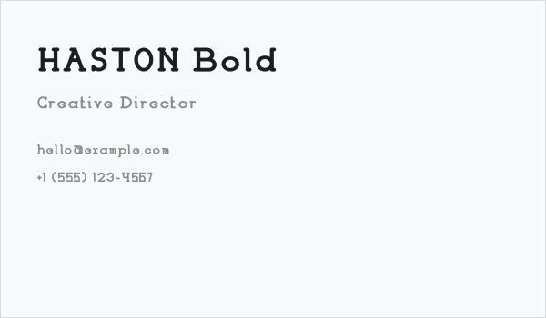 HASTON Bold Business Card