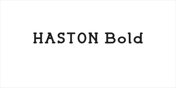 HASTON Bold Logo