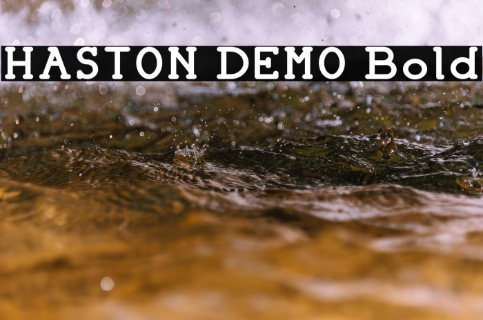 HASTON DEMO Bold Example 1