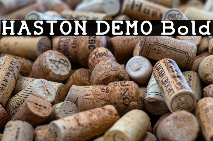 HASTON DEMO Bold Example 2