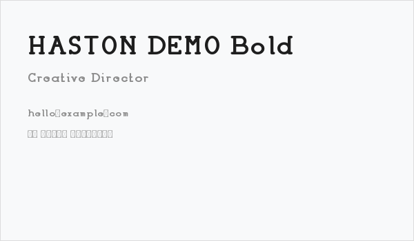 HASTON DEMO Bold Business Card