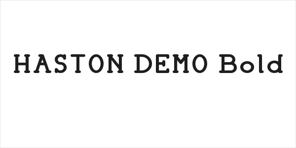 HASTON DEMO Bold Logo