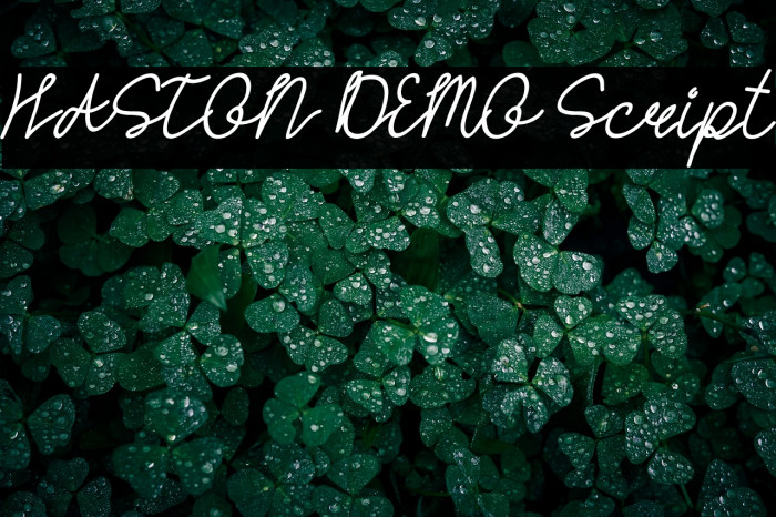 HASTON DEMO Script Example 1