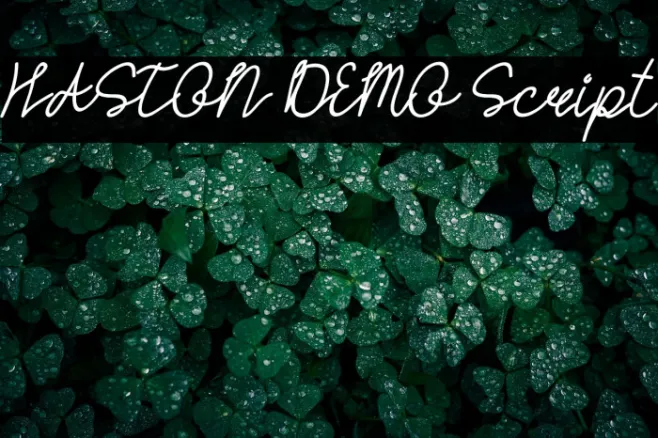 HASTON DEMO Script Example 1