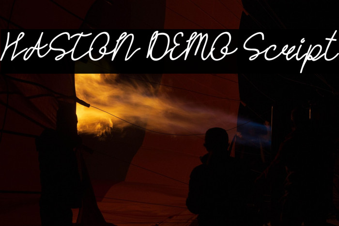 HASTON DEMO Script Example 2