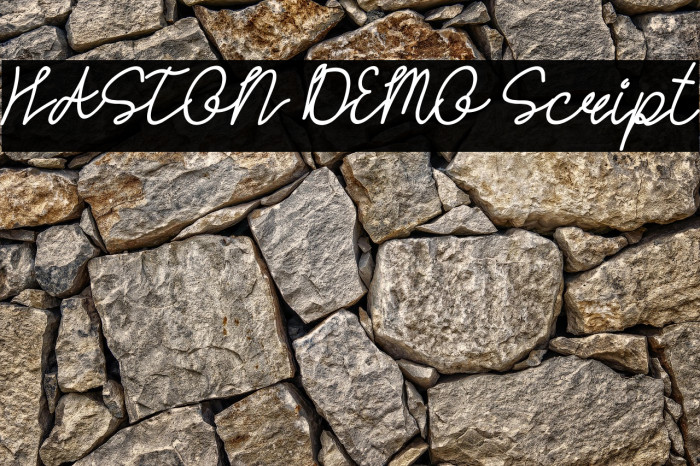 HASTON DEMO Script Example 3