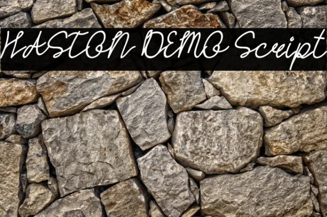 HASTON DEMO Script Example 3