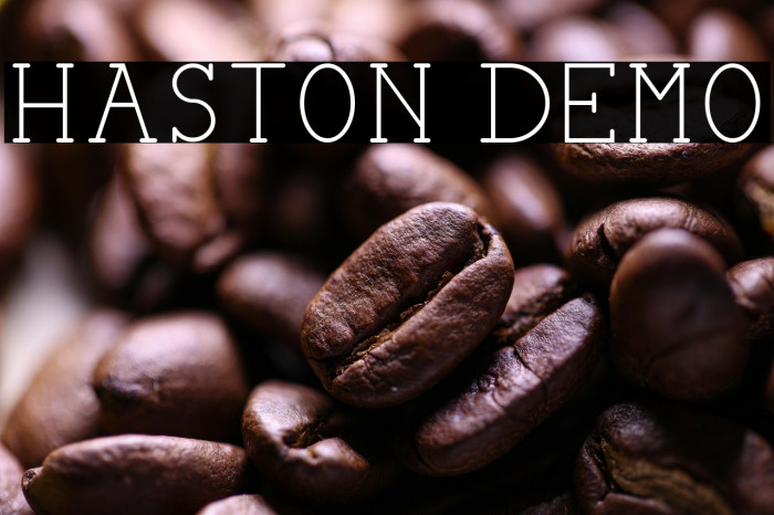 HASTON DEMO Example 2