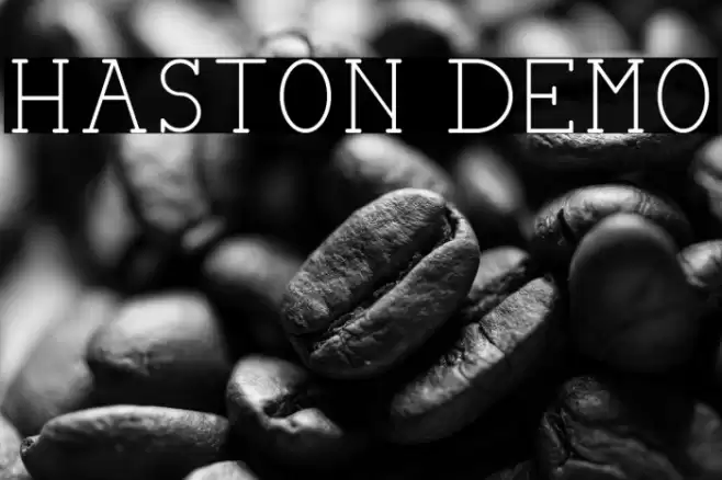 HASTON DEMO Font examples