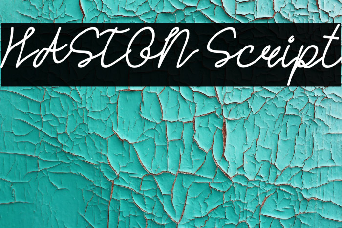 HASTON Script Font examples