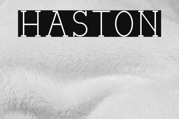 HASTON Font examples
