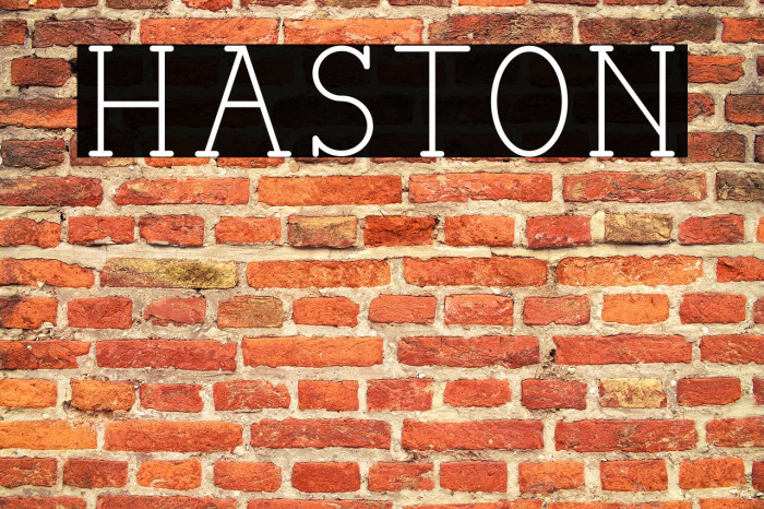 HASTON Font examples