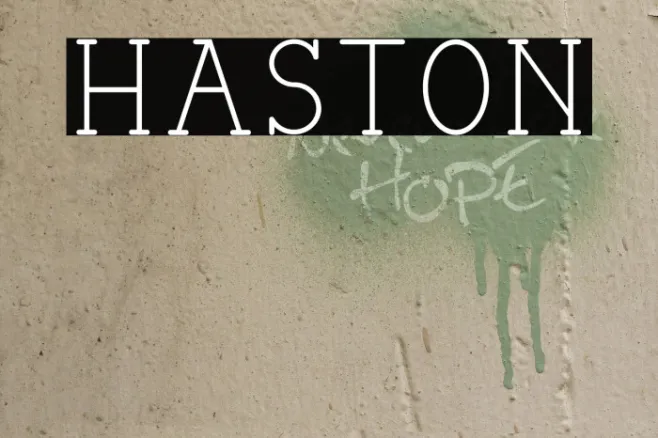 HASTON Example 3